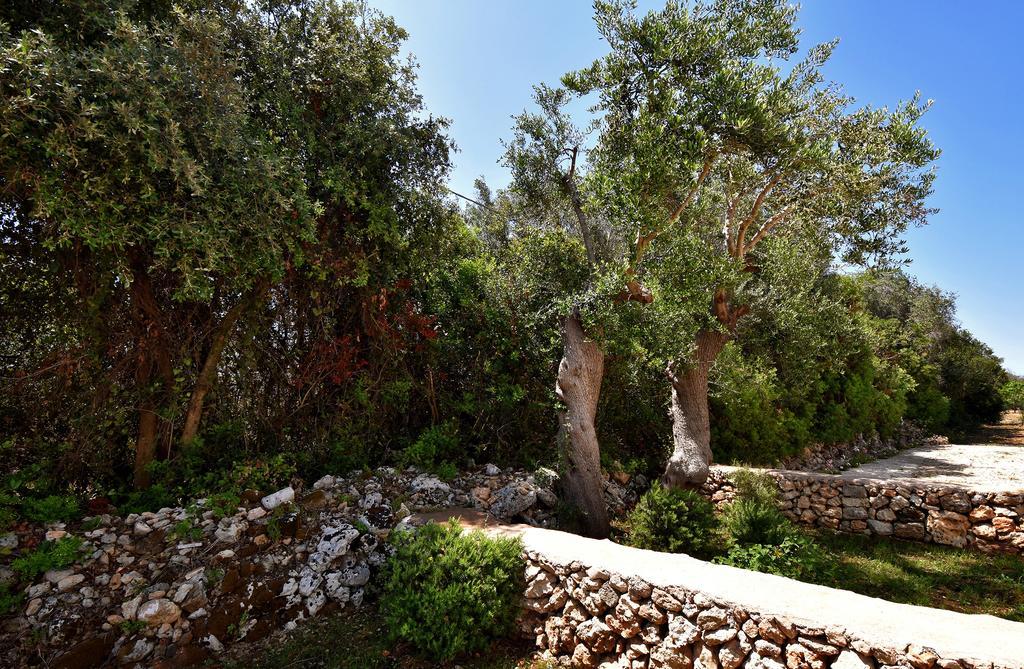 Masseria Pitanni Галліполі Екстер'єр фото
